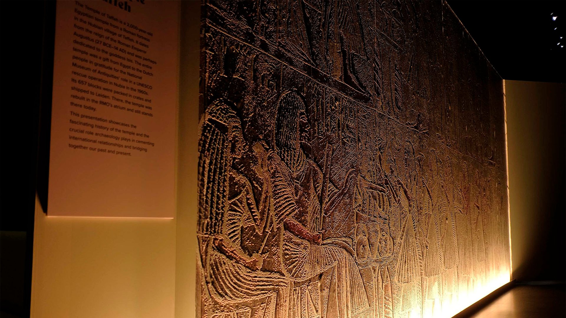 Pared relieve museo 3